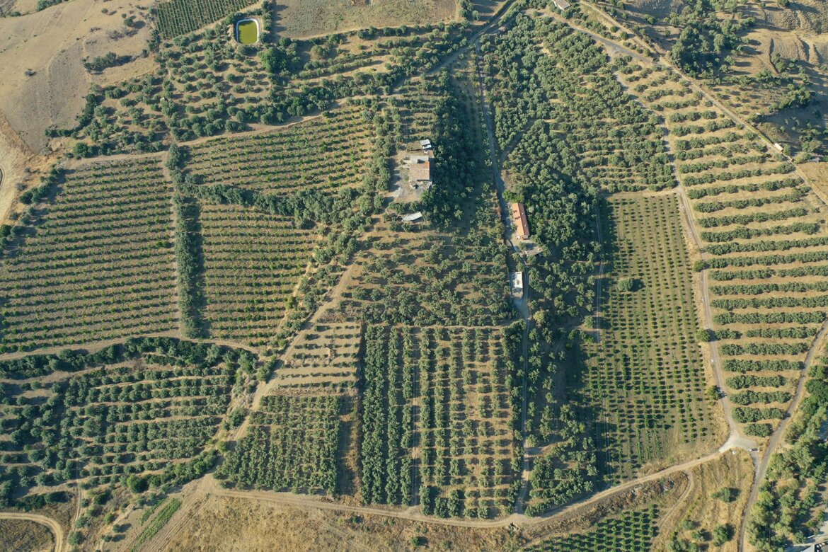 drone terreno cortese azienda agricola