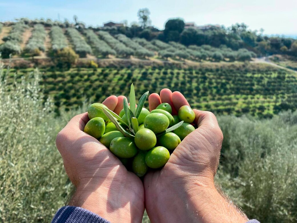 drone terreno cortese azienda agricola