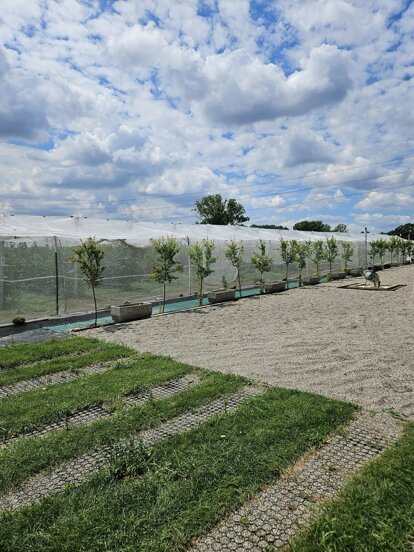 azienda_agricola_frutti di bosco_2.jpeg