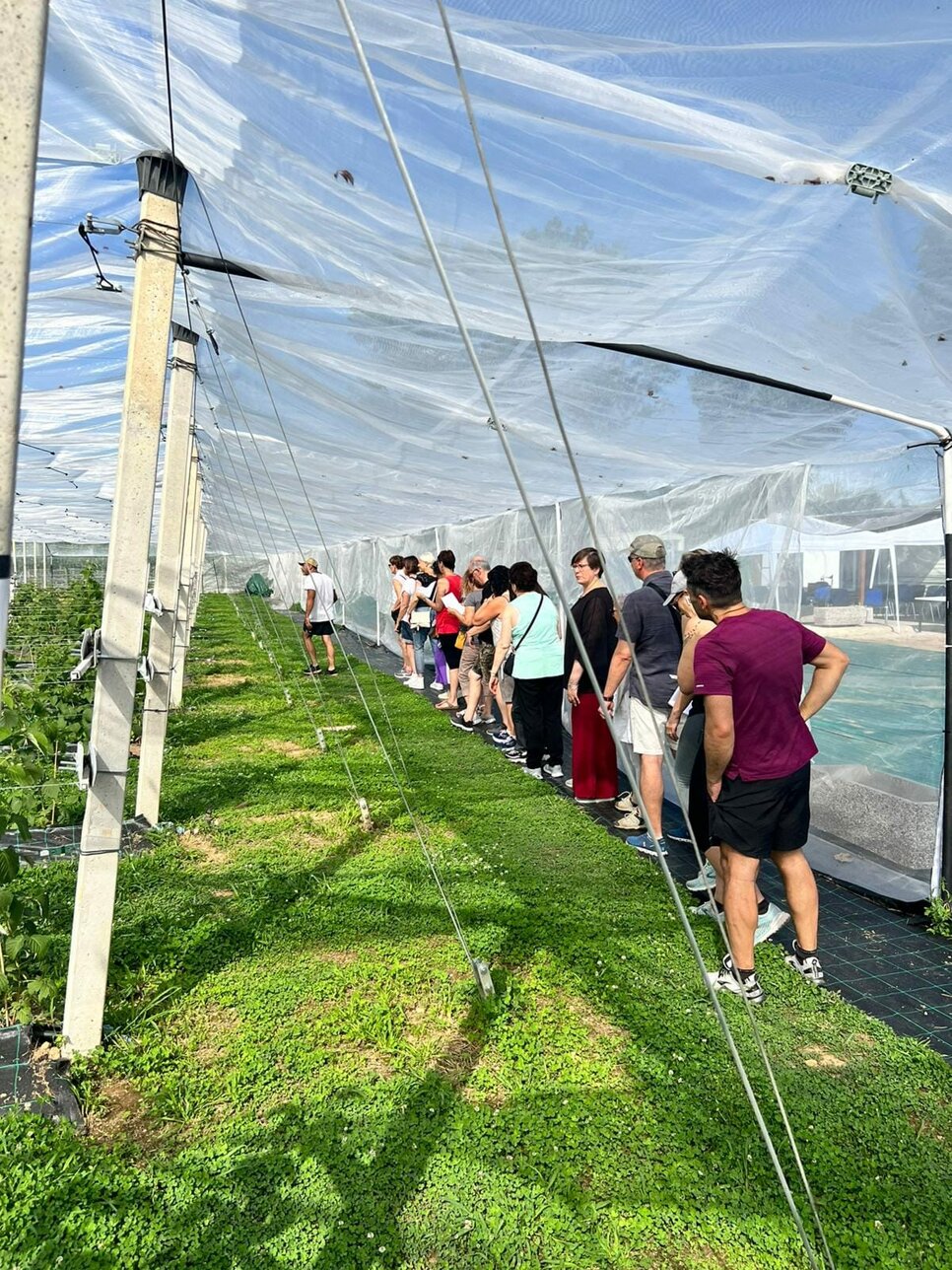 azienda_agricola_frutti di bosco_tour_3.jpeg