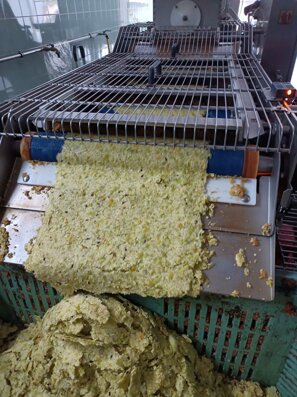 whatsapp image 2025-10-06 at 12.26.47.jpeg