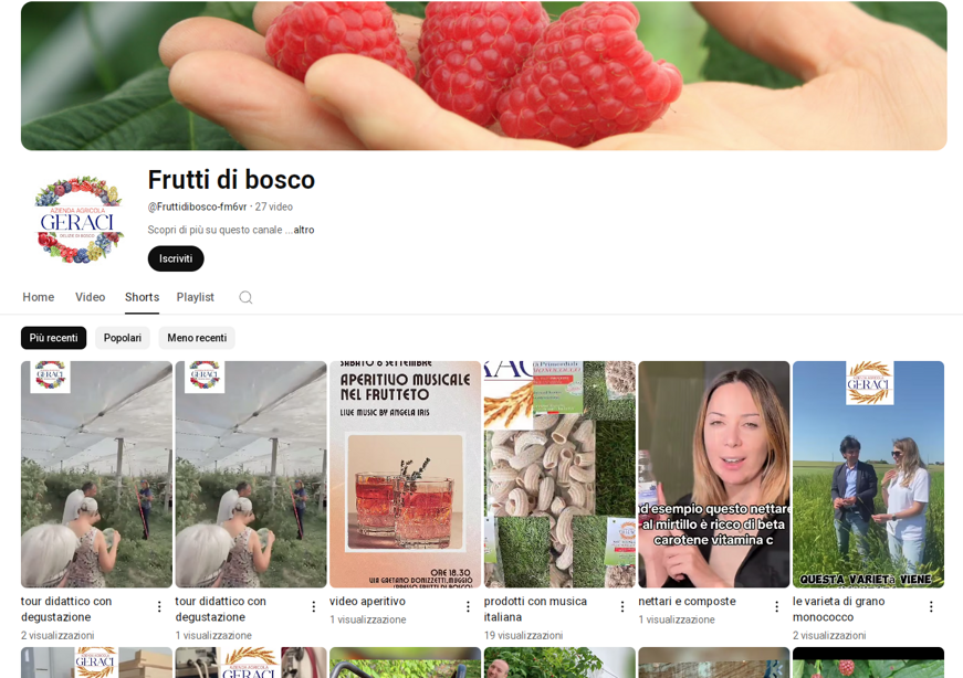 youtube-frutti-di-bosco