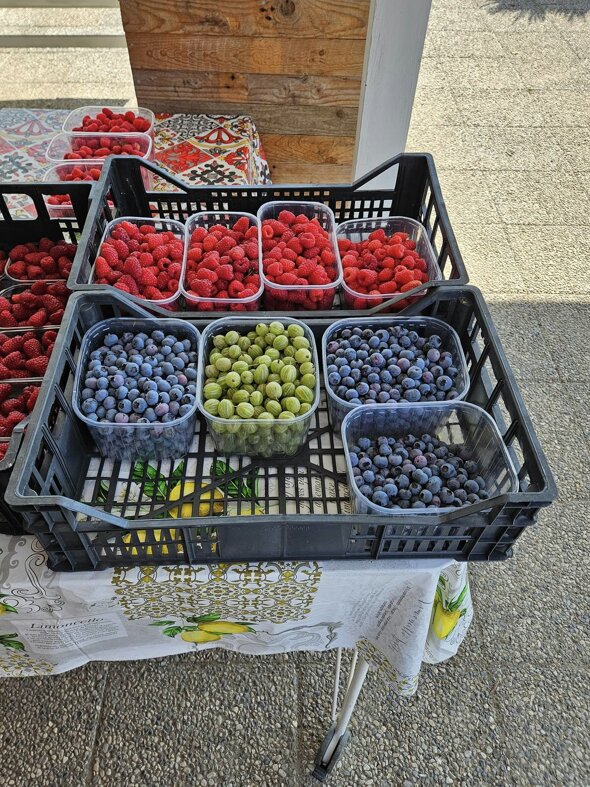 azienda_agricola_frutti di bosco_prodotti.jpeg