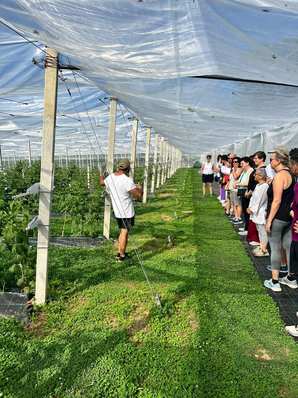 azienda_agricola_frutti di bosco_tour.jpeg