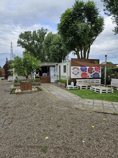 azienda_agricola_frutti di bosco_5.jpeg