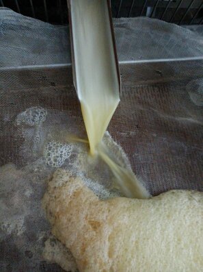 whatsapp image 2025-10-06 at 12.26.47 (1).jpeg