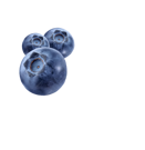 mirtillli_frutti_di_bosco