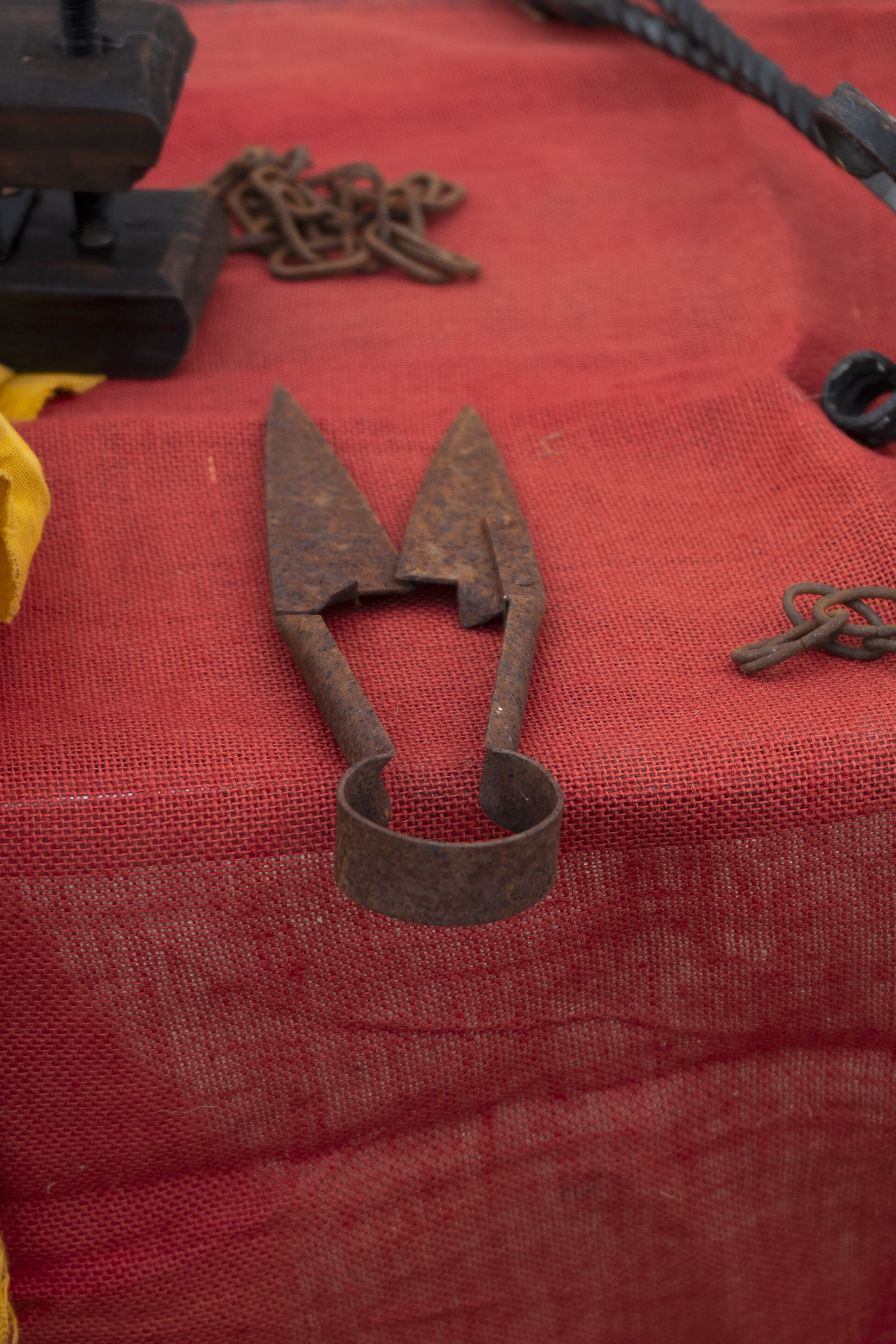 ammajare_22-agosto.jpeg ammajare_22-agosto.jpeg