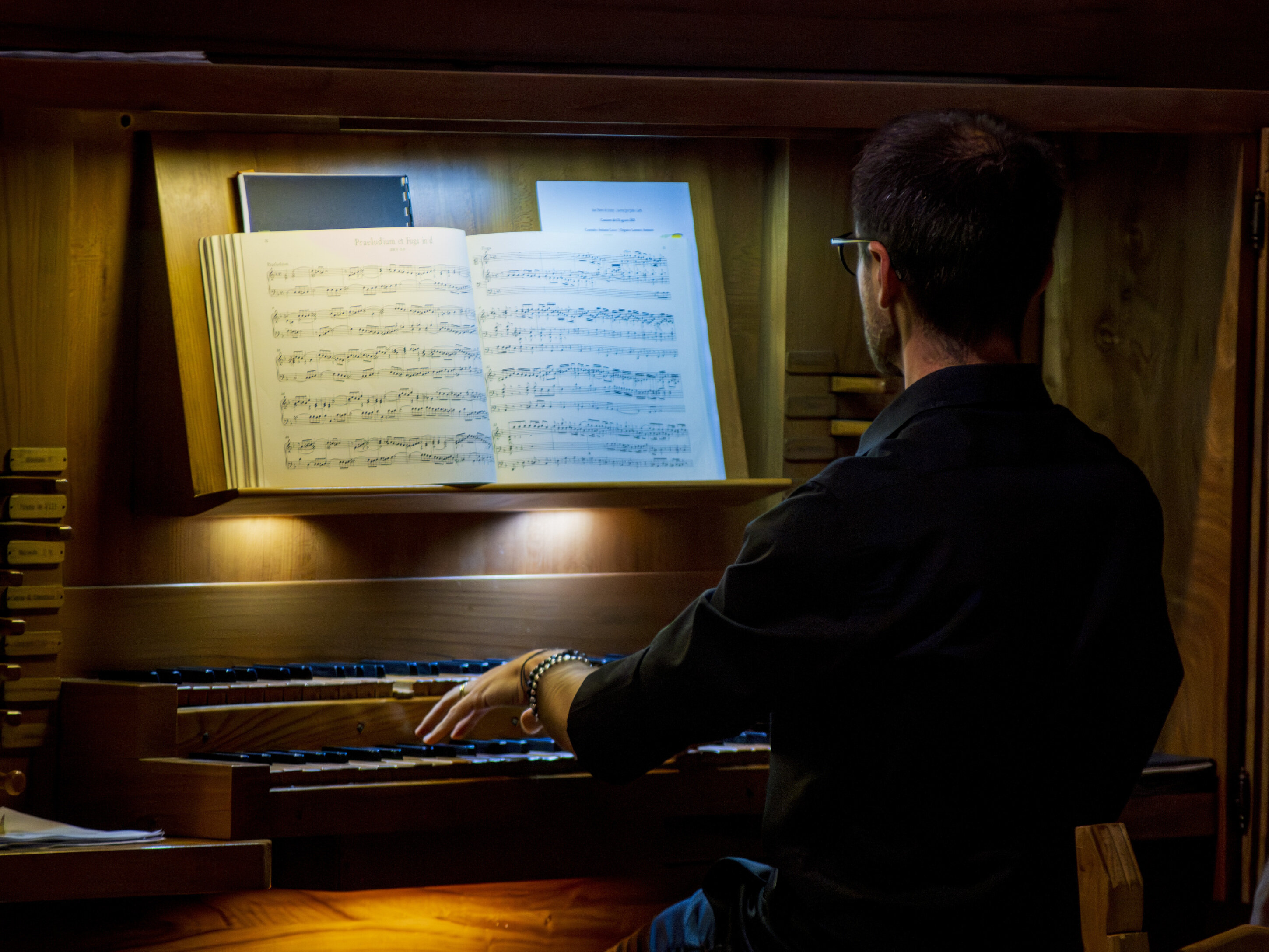 p1041212.jpeg p1041212.jpeg