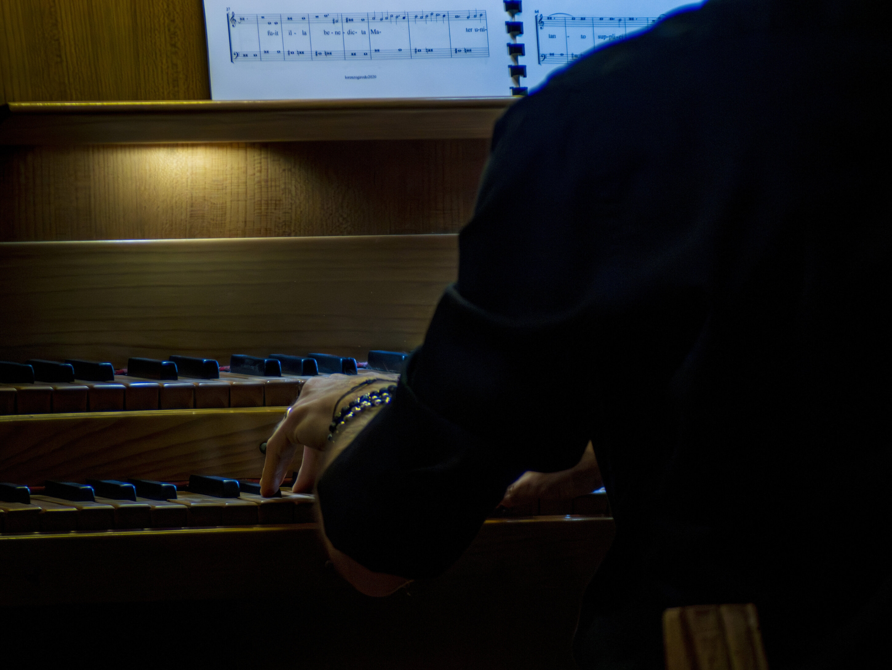 p1041127.jpeg p1041127.jpeg