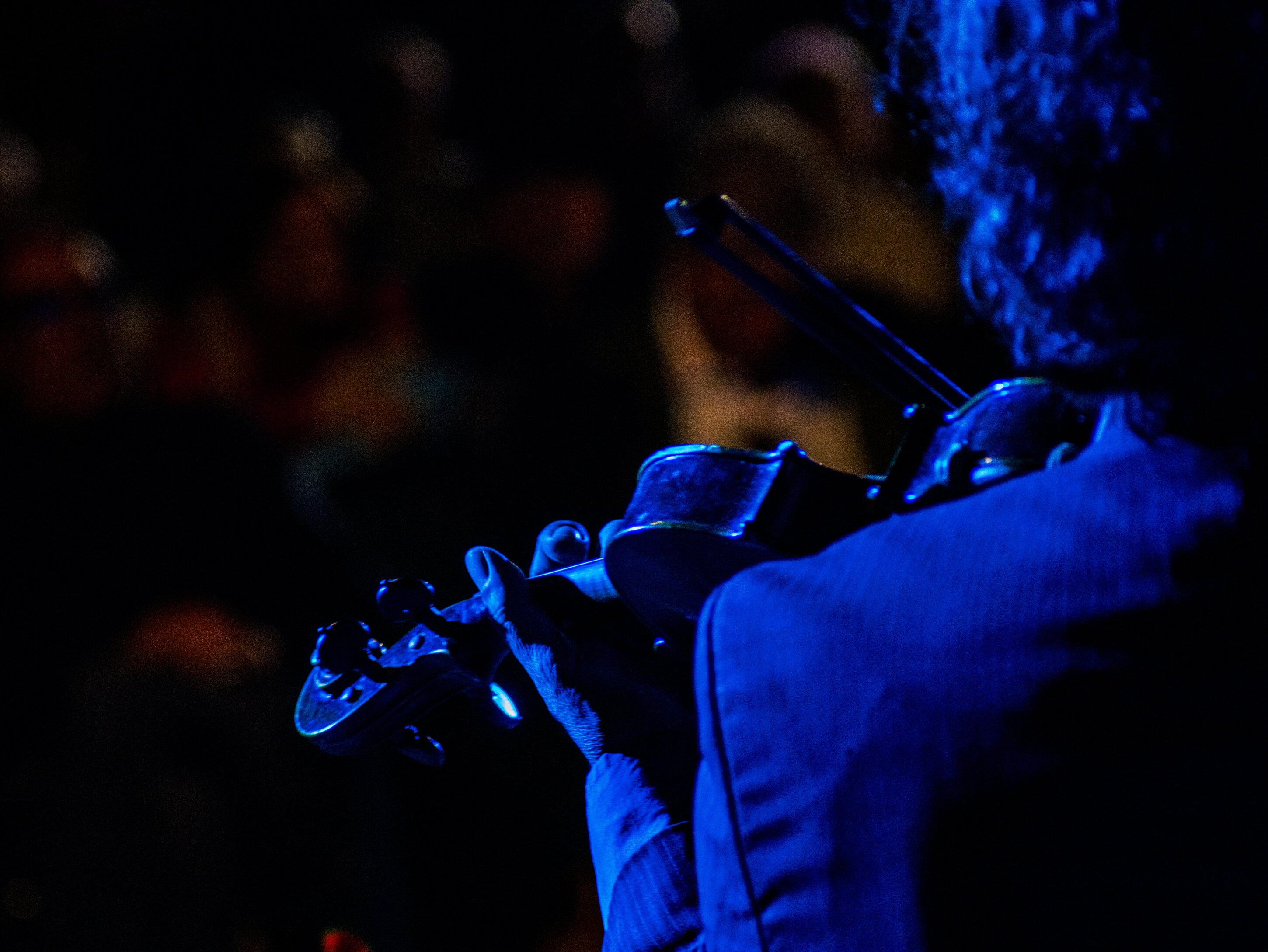 p1041563.jpeg p1041563.jpeg