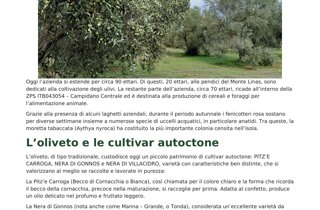 brochure_fattorie_del_maestrale_pagina_3.jpeg