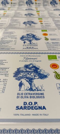 img20230225111543.jpeg