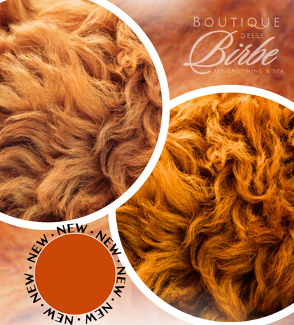 progetto%20senza%20titolo%20(37)