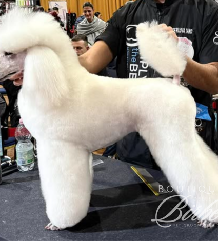 progetto%20senza%20titolo%20(23)