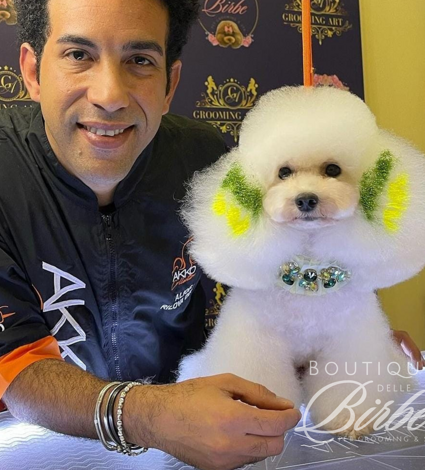 progetto%20senza%20titolo%20(25)