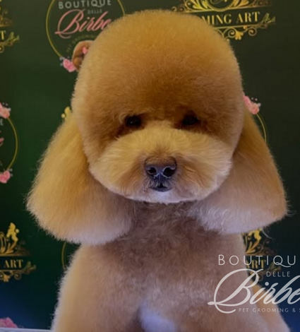 progetto%20senza%20titolo%20(15)