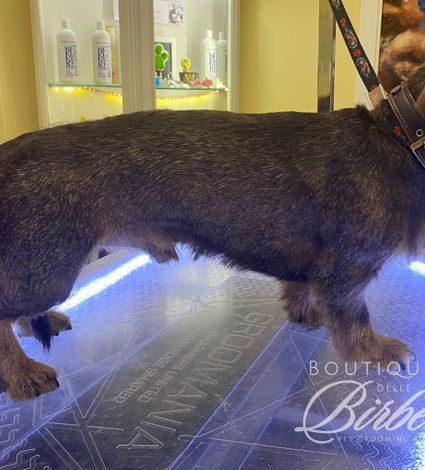 progetto%20senza%20titolo%20(26)