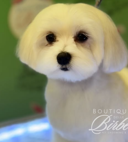 progetto%20senza%20titolo%20(14)