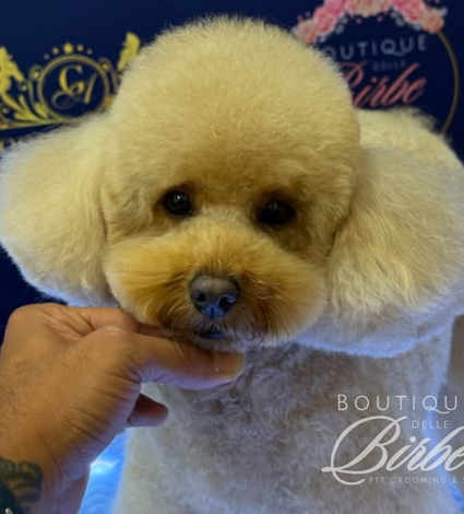 progetto%20senza%20titolo%20(12)