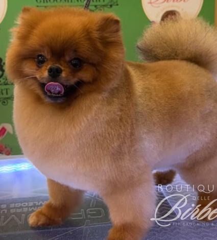 progetto%20senza%20titolo%20(13)