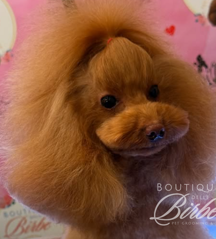 progetto%20senza%20titolo%20(16)