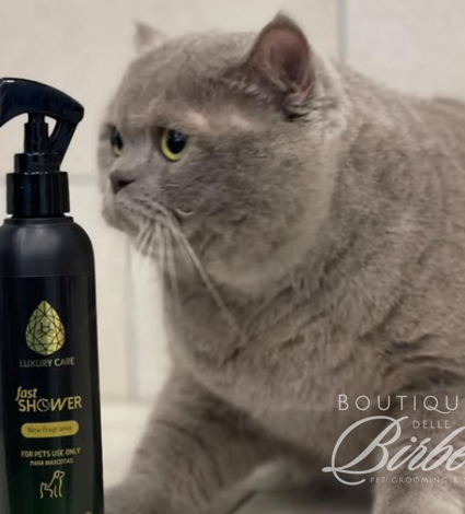 progetto%20senza%20titolo%20(38)