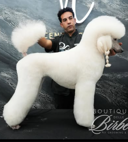 progetto%20senza%20titolo%20(33)