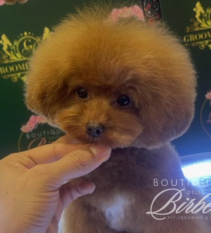 progetto%20senza%20titolo%20(19)