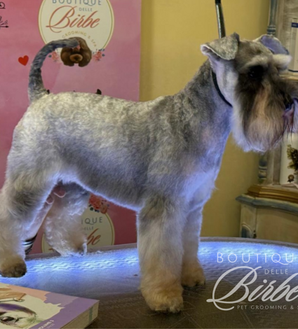 progetto%20senza%20titolo%20(20)