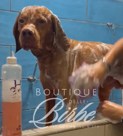 progetto%20senza%20titolo%20(8)