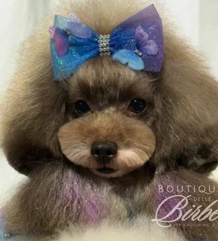 progetto%20senza%20titolo%20(18)