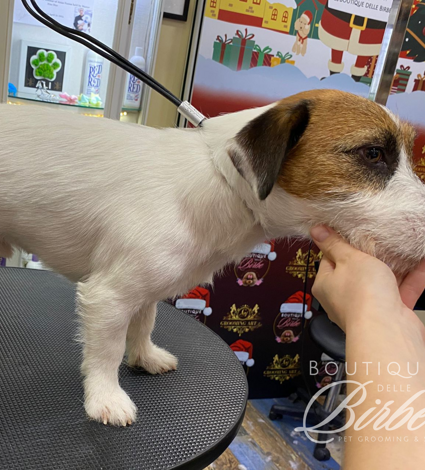 progetto%20senza%20titolo%20(21)