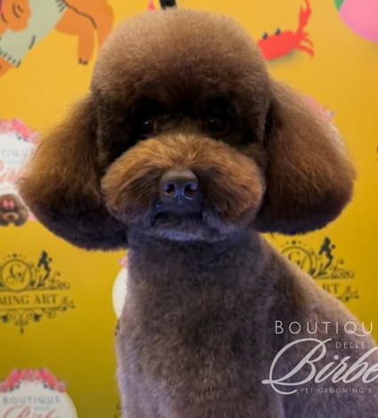 diseÃ±o%20sin%20tÃ­tulo