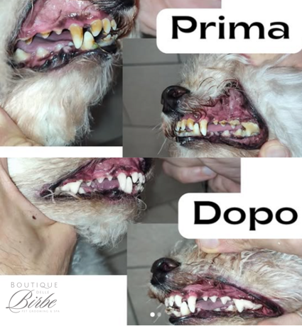 progetto%20senza%20titolo%20(24)