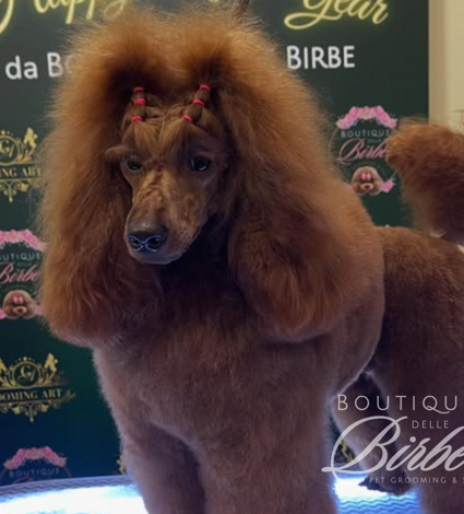 progetto%20senza%20titolo%20(22)