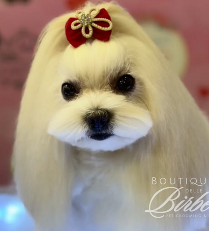 progetto%20senza%20titolo%20(27)