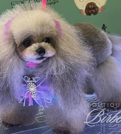 progetto%20senza%20titolo%20(34)