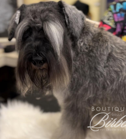 progetto%20senza%20titolo%20(35)