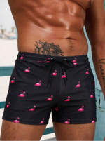 uomo-parigamba-black-purple-fenny-taglia-s