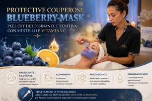 blueberry mask-viso