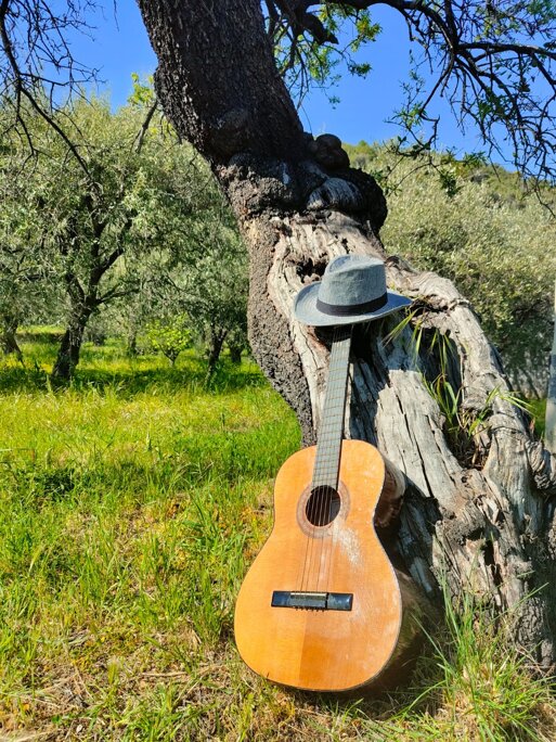 Salvo Longo Amish