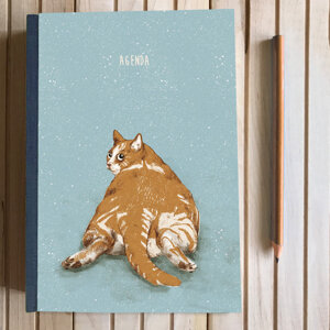 agenda-gatto-rosso
