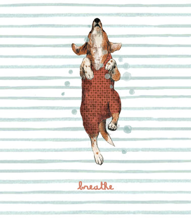 jack russell cane breathe respira a righe.jpeg