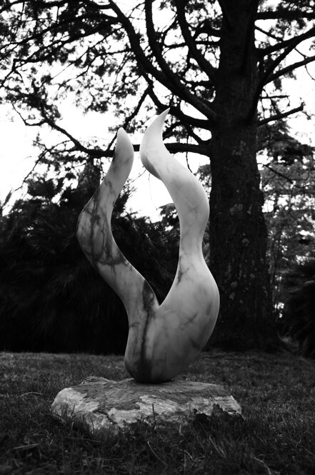 dsc04955.jpeg