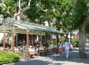 L'isola dei platani a Bellaria