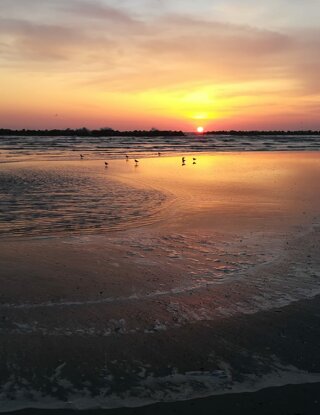 La spiaggia all'alba