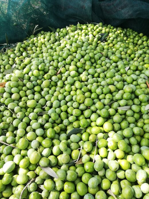 img_20211015_125036.jpeg img_20211015_125036.jpeg