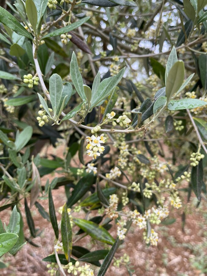 img-1349.jpeg img-1349.jpeg