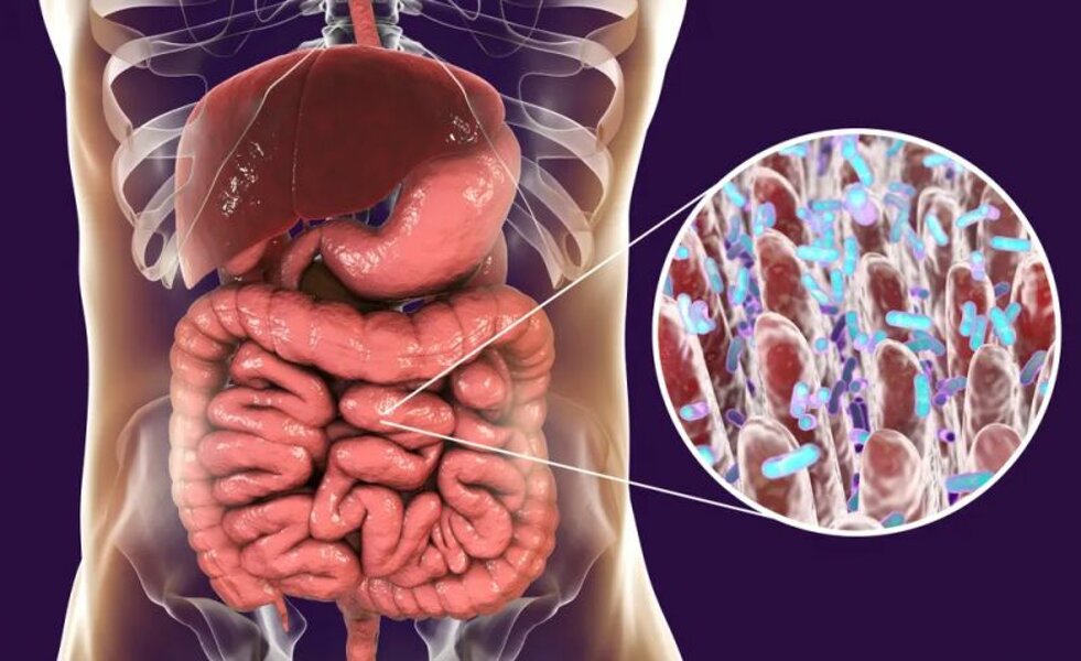 1769704557414.jpeg 1769704557414.jpeg